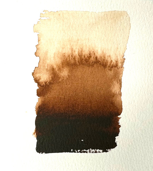 M231 BURNT UMBER 15ml