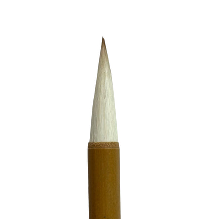 B6-Bamboo 27