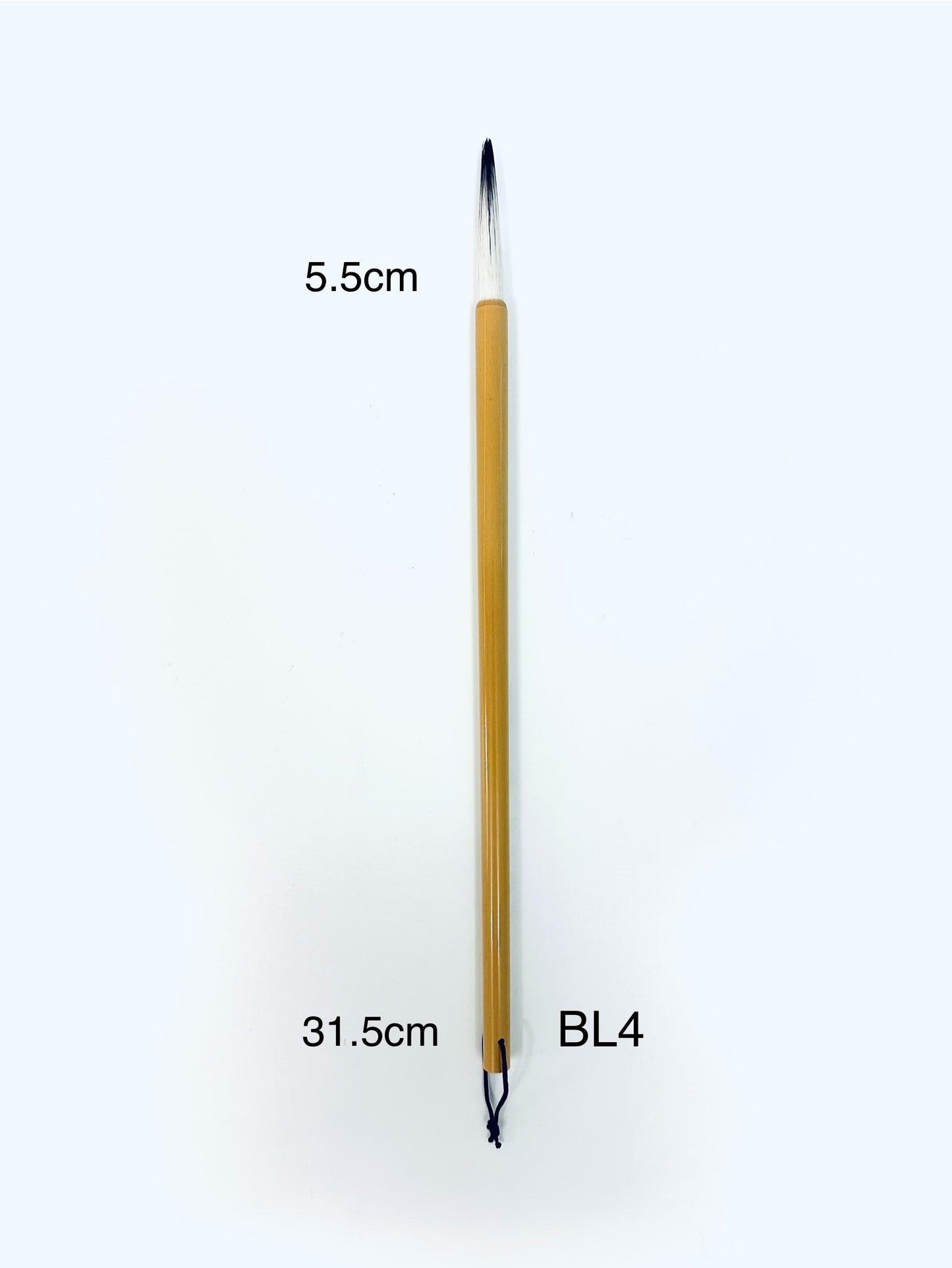 New Brush - L4