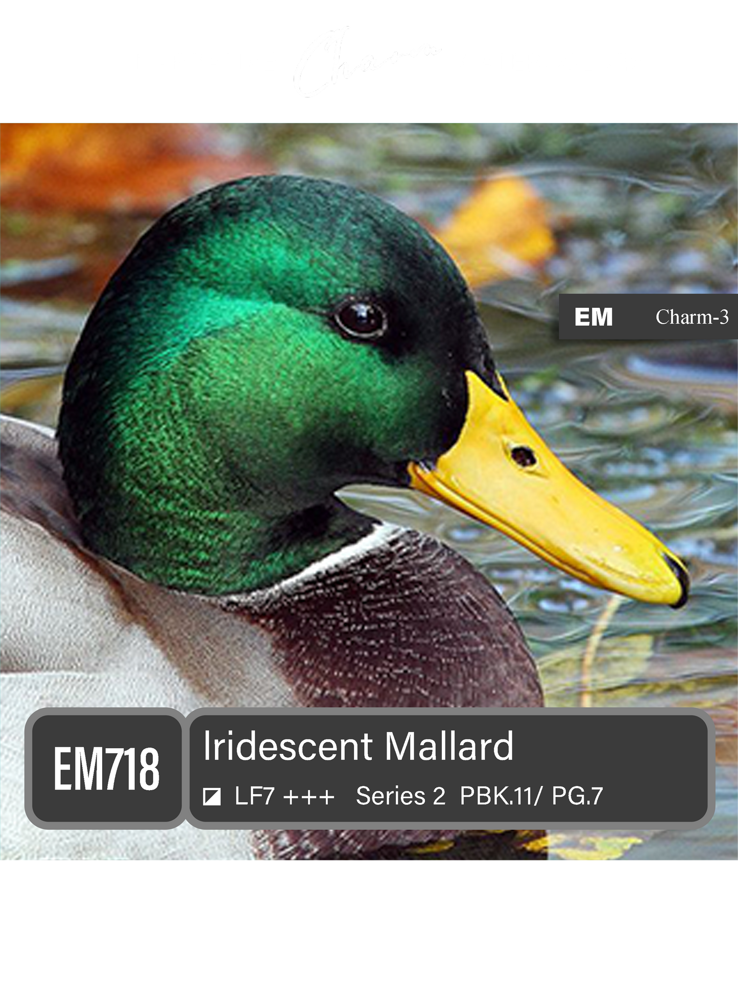 EM718 Iridescent Mallard 8ml